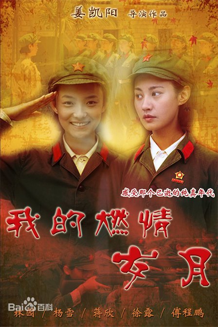 我的燃情岁月第01集