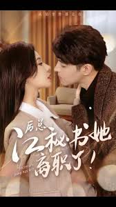 历总，江秘书她离职了全集 (下)