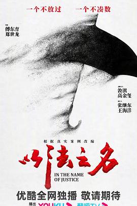 以法之名(全集)