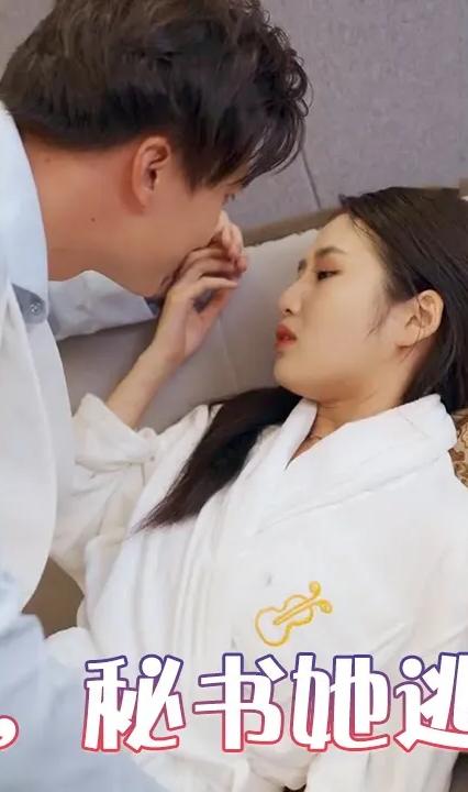 总裁，秘书她逃跑了全集(大结局)